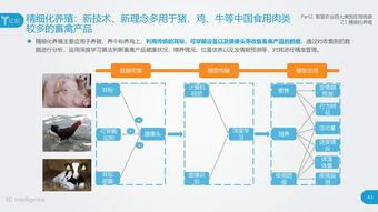 战略新兴产业新引擎 互联网数据中心（IDC）与199it数据服务的价值探析