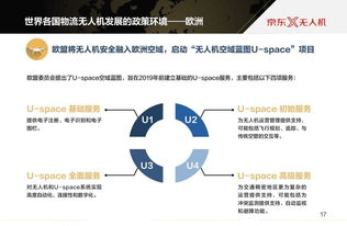 数据驱动未来 199it互联网数据资讯中心的行业洞察与服务